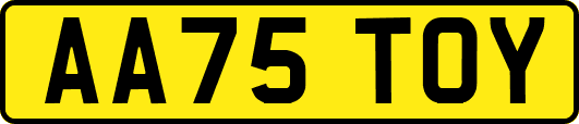 AA75TOY