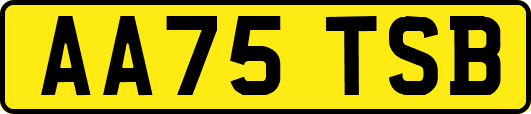 AA75TSB