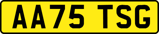 AA75TSG