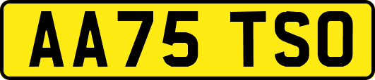 AA75TSO