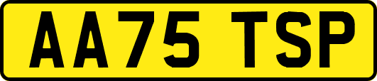 AA75TSP