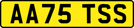 AA75TSS