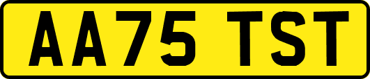 AA75TST