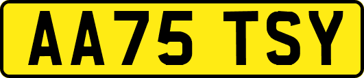 AA75TSY