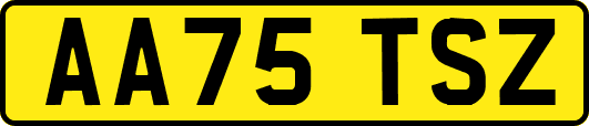 AA75TSZ