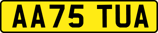 AA75TUA