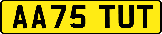 AA75TUT