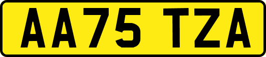 AA75TZA
