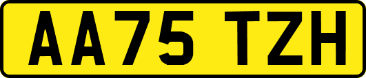 AA75TZH