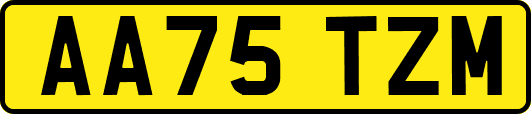 AA75TZM