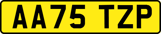 AA75TZP