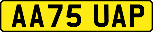 AA75UAP