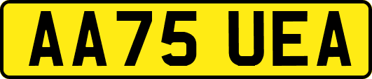 AA75UEA