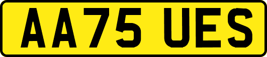 AA75UES