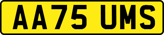 AA75UMS