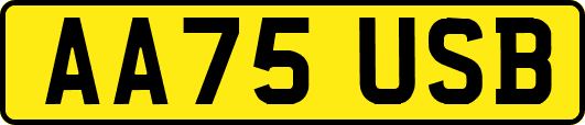 AA75USB