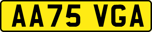 AA75VGA