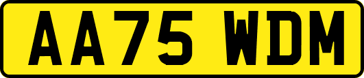AA75WDM