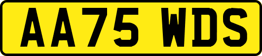 AA75WDS