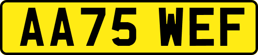 AA75WEF