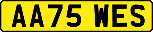 AA75WES