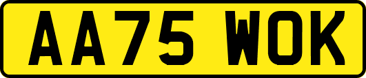 AA75WOK
