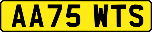 AA75WTS