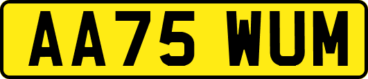 AA75WUM