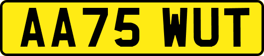 AA75WUT