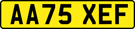 AA75XEF