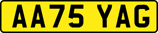 AA75YAG