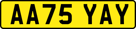 AA75YAY