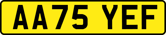 AA75YEF