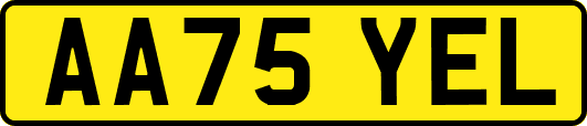 AA75YEL