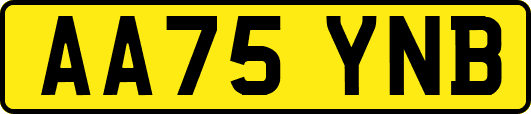 AA75YNB