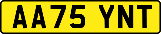 AA75YNT