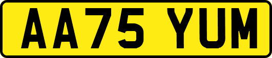 AA75YUM