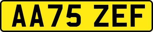 AA75ZEF