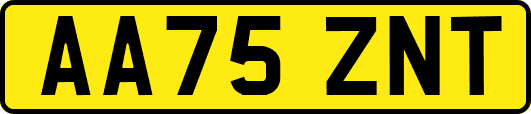 AA75ZNT