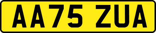 AA75ZUA