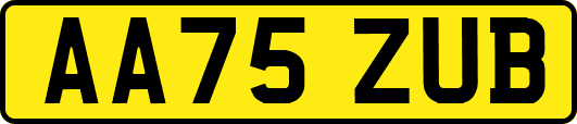 AA75ZUB