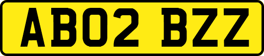 AB02BZZ
