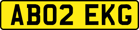 AB02EKG
