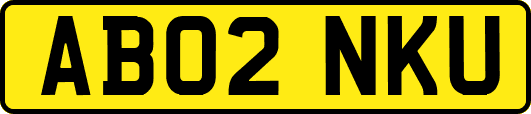 AB02NKU