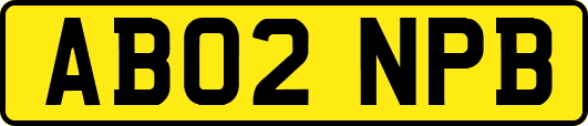 AB02NPB