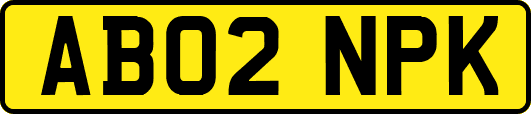 AB02NPK
