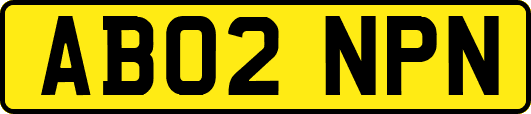 AB02NPN