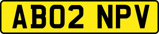 AB02NPV