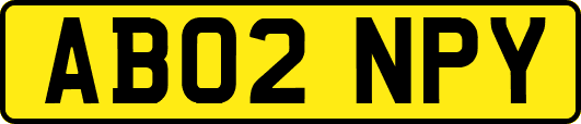 AB02NPY