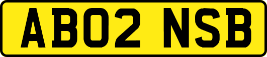 AB02NSB